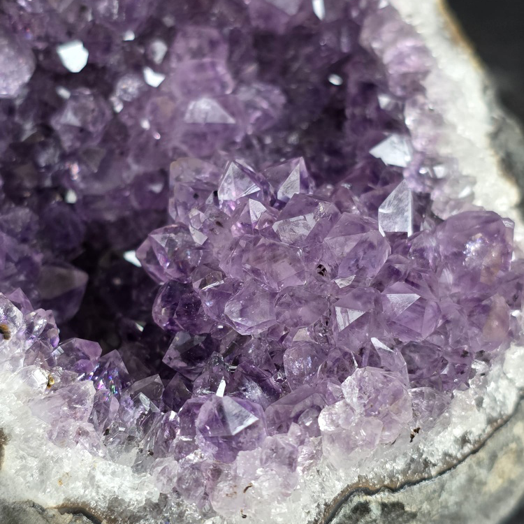 AMATISTA (Drusa Natural) Con flor natural- Púrpura Intenso Deep Purple #6