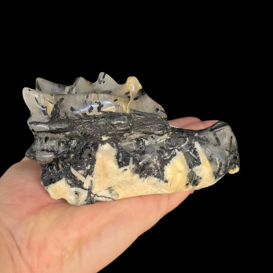 Cabeza de Dragón de Cuarzo Turmalinado - Pieza Única