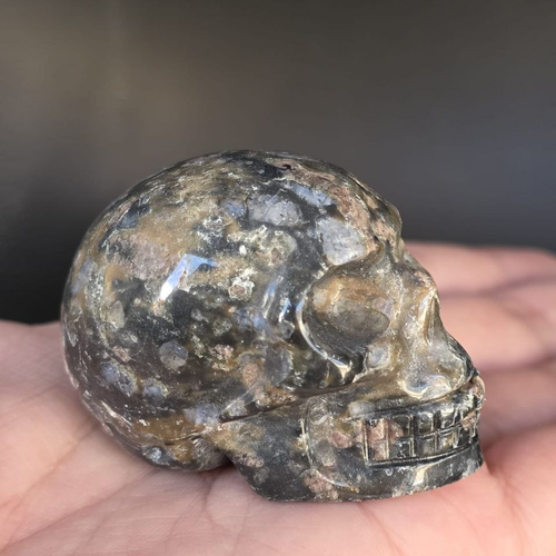 "Que Sera" Stone Skull from Brazil – Golden Tones_image2