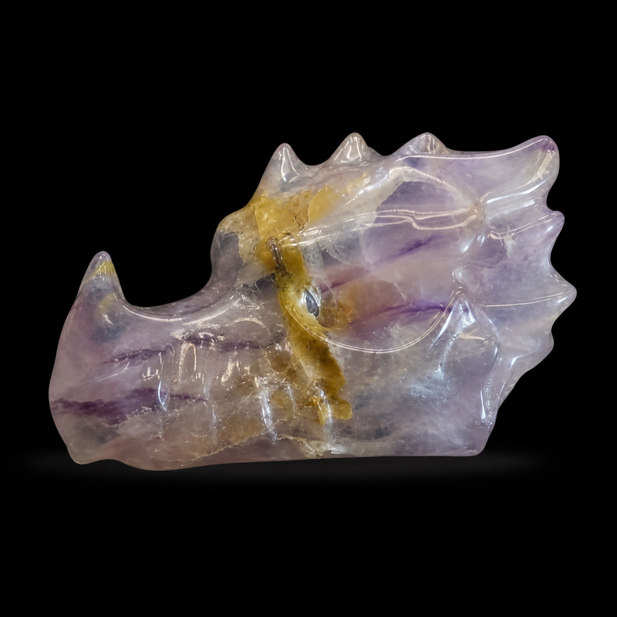 Fluorite dragon head side view with purple banding, translucent areas and golden inclusions