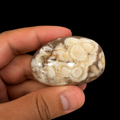 Small Flower Agate palm stone held in hand, showing polished beige-brown agate with natural cream floral inclusions.
