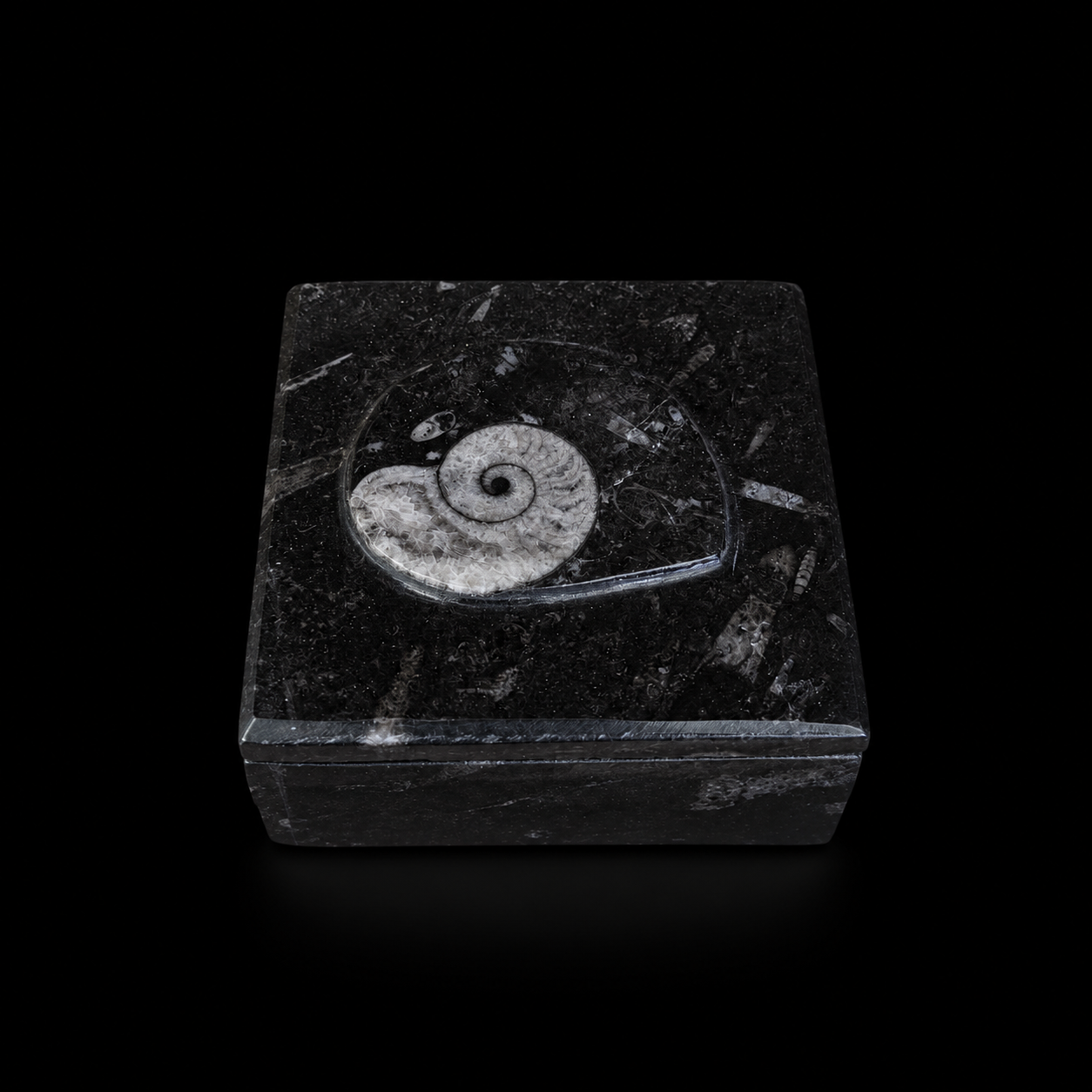 Front view of square fossil jasper jewellery box with ammonite fossil detail on a black background