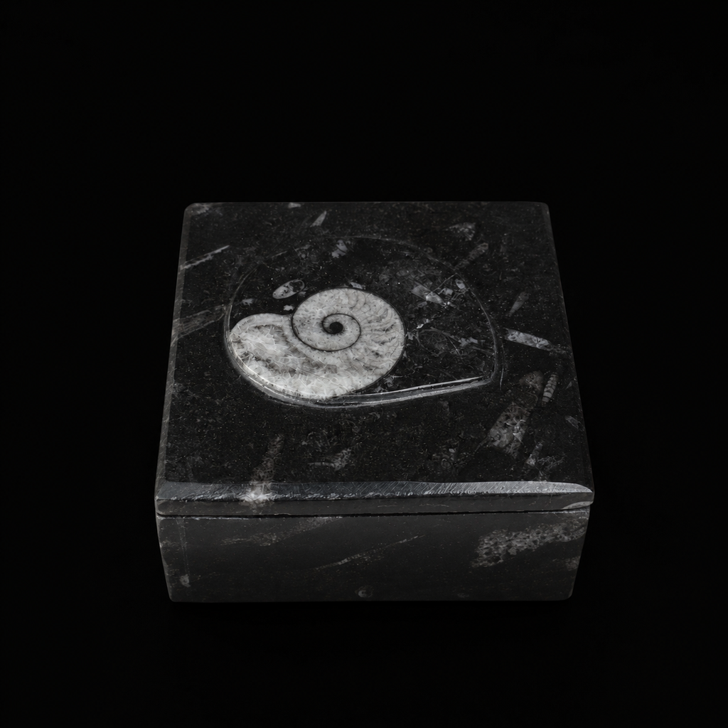 Top angled view of square fossil jasper jewellery box in hand showing ammonite fossil detail on the lid