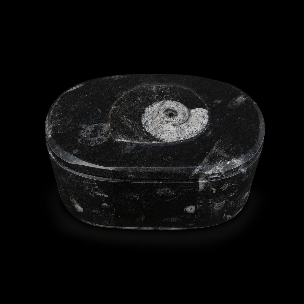 Front angled view of oval fossil jasper jewellery box with ammonite fossil detail on the lid
