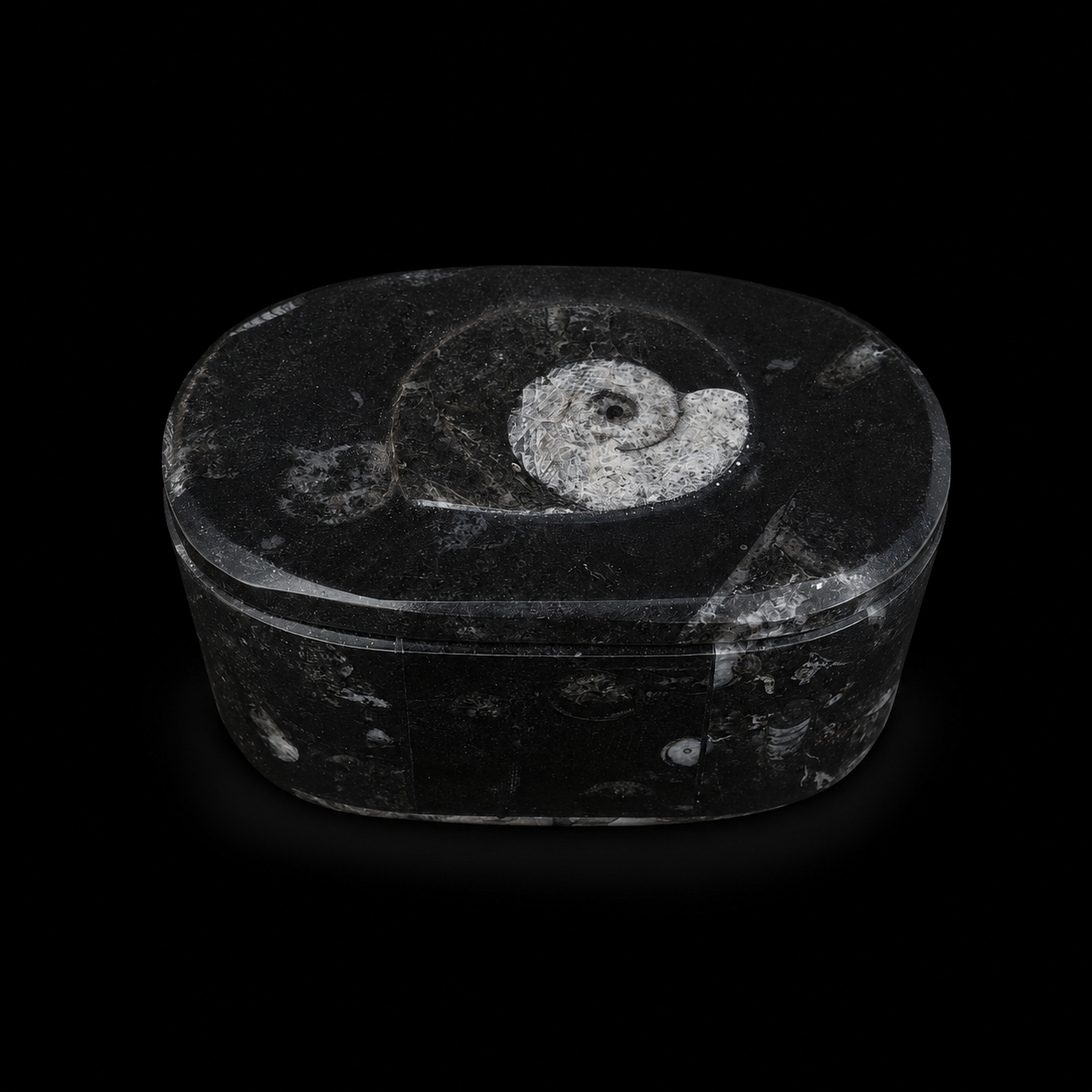 Front angled view of oval fossil jasper jewellery box with ammonite fossil detail on the lid