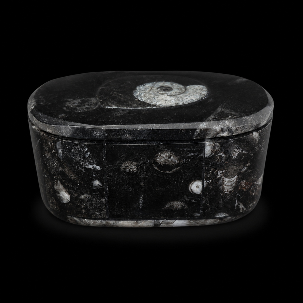 Front view of oval fossil jasper jewellery box showing orthoceras and ammonite fossil inclusions on the side