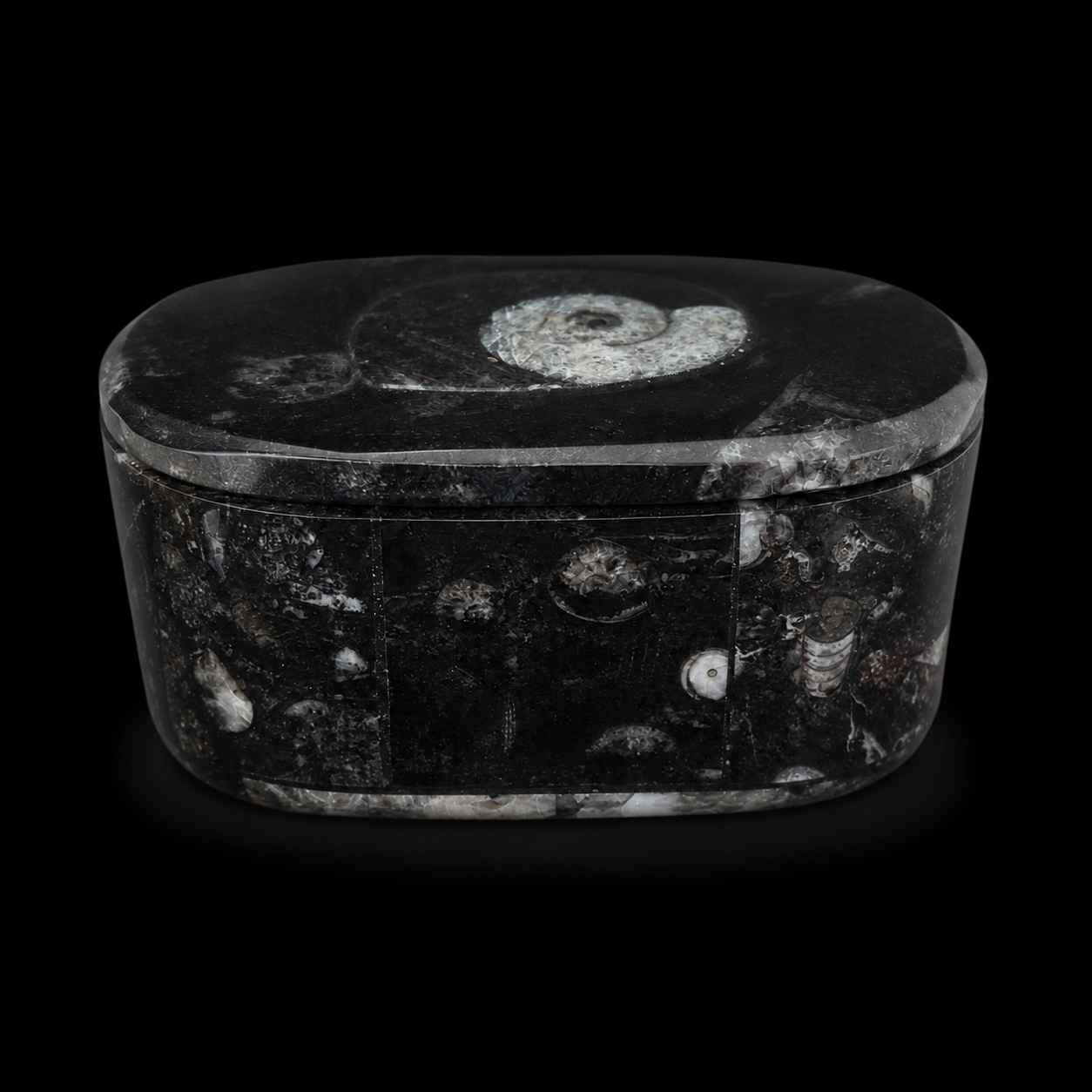 Front view of oval fossil jasper jewellery box showing orthoceras and ammonite fossil inclusions on the side