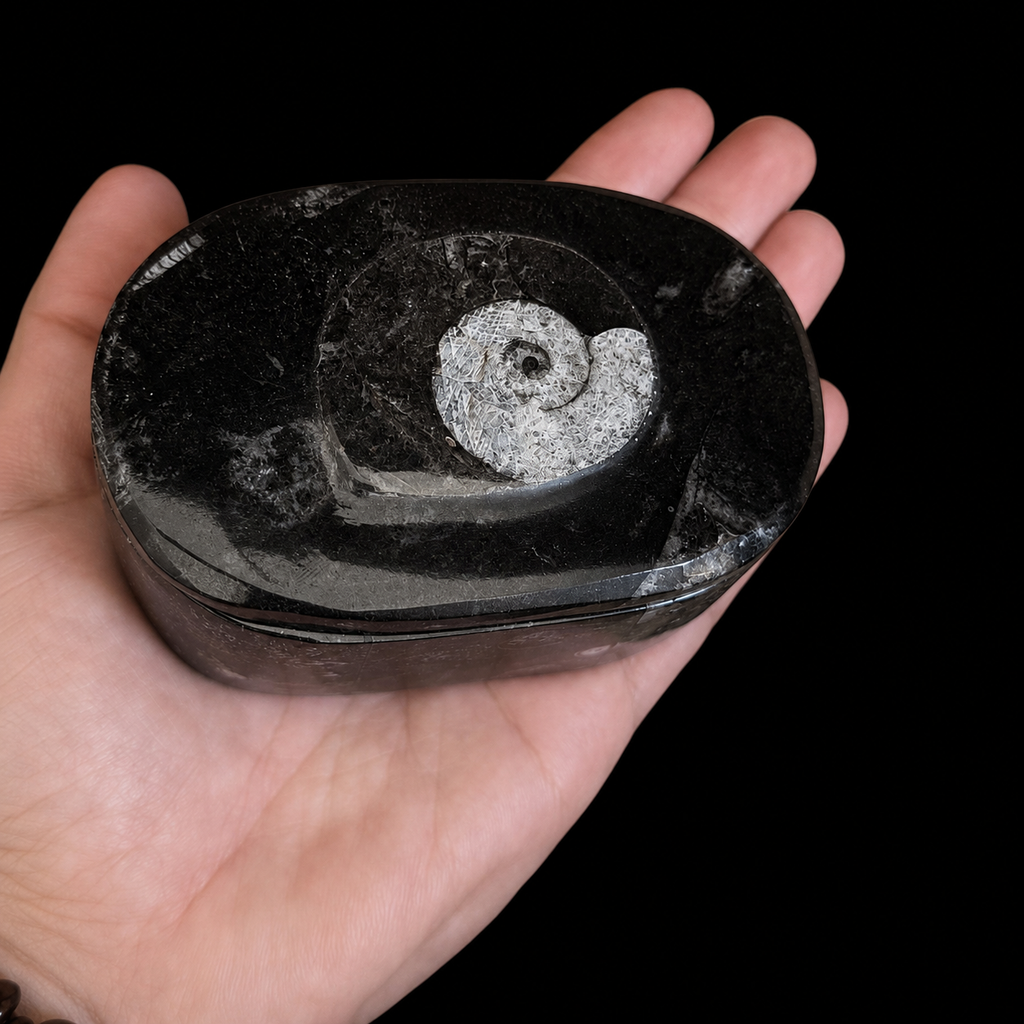 Top angled view of oval fossil jasper jewellery box in hand showing ammonite fossil detail on the lid
