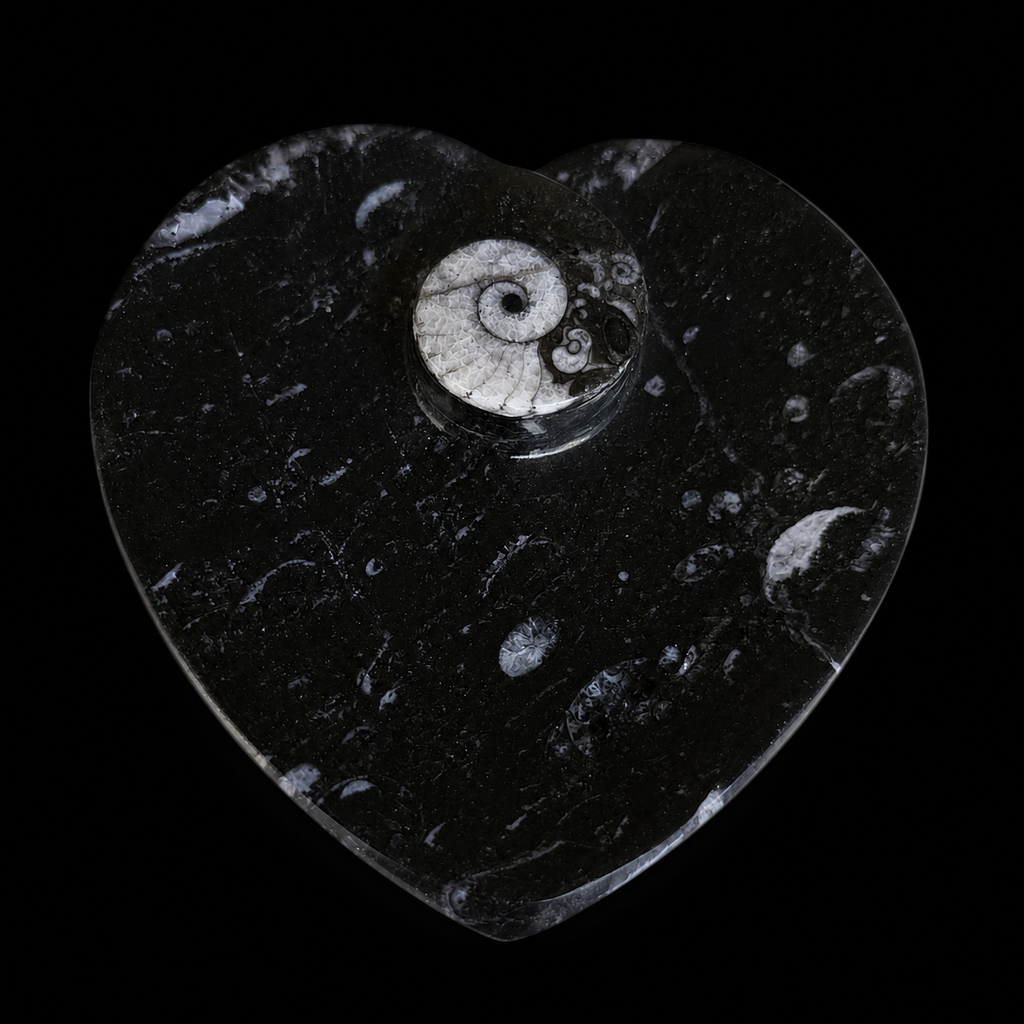 Top view of heart-shaped fossil jasper dish with ammonite fossil detail