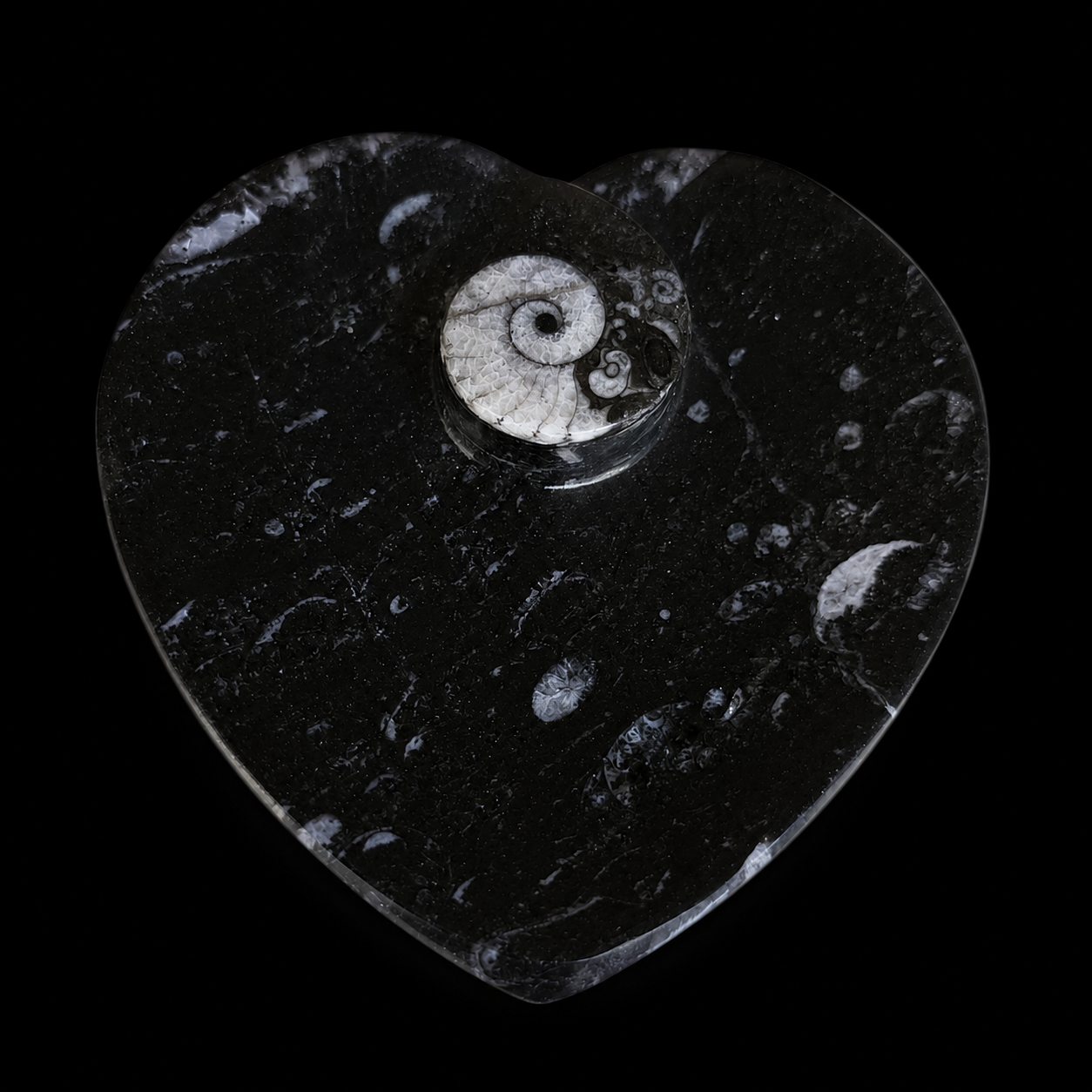 Top view of heart-shaped fossil jasper dish with ammonite fossil detail