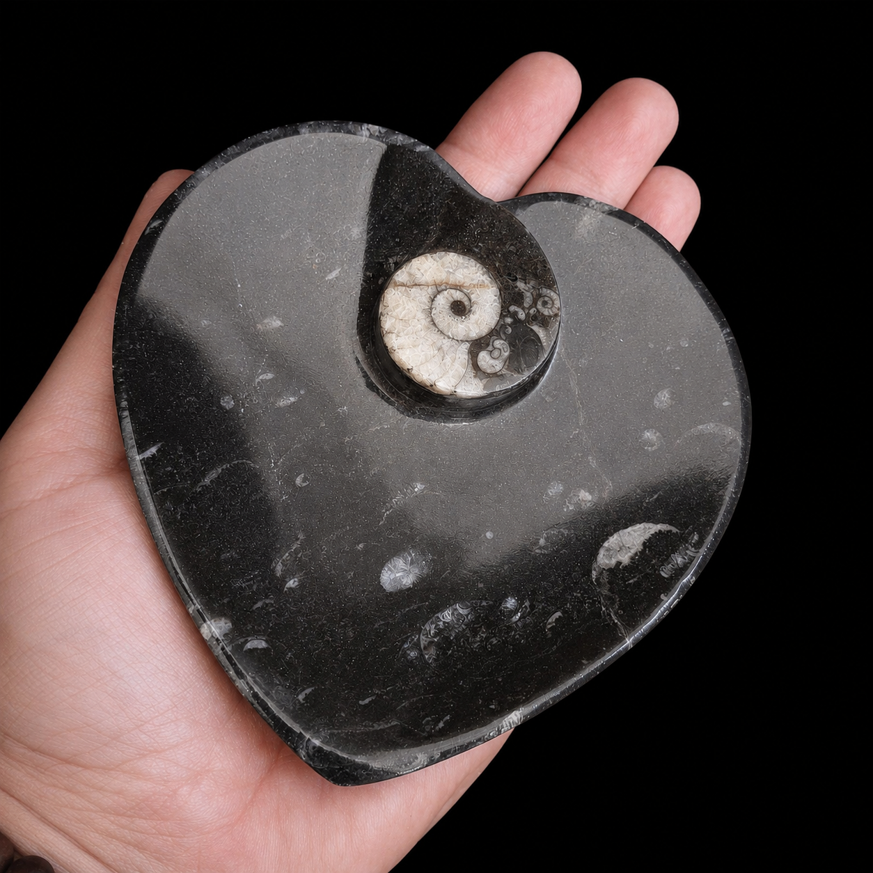 Top angled view of heart-shaped fossil jasper dish in hand with ammonite fossil detail