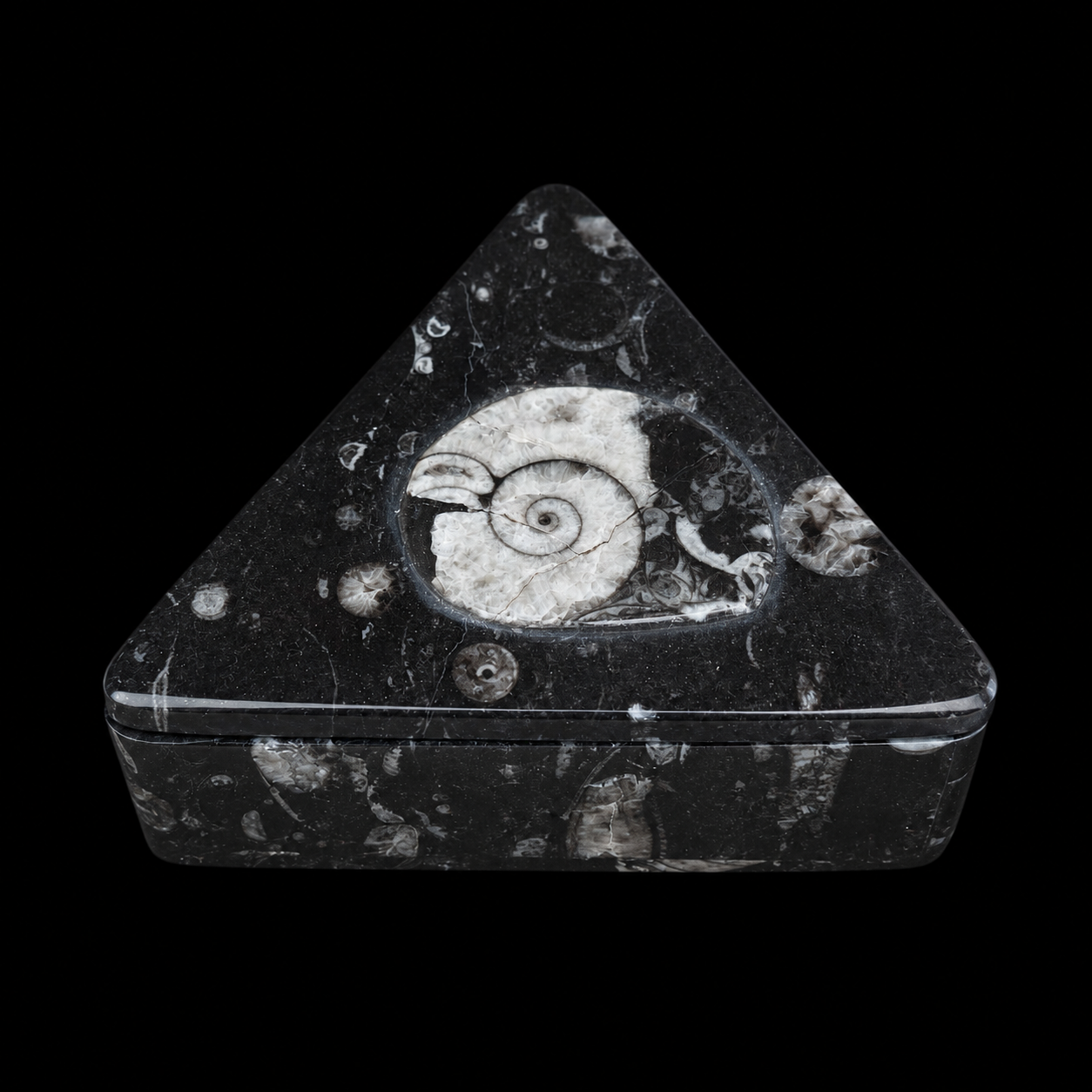 Front view of triangular fossil jasper jewellery box with ammonite fossil detail on the lid