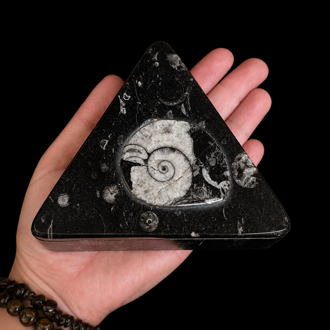 Top angled view of triangular fossil jasper jewellery box in hand showing ammonite fossil detail on the lid