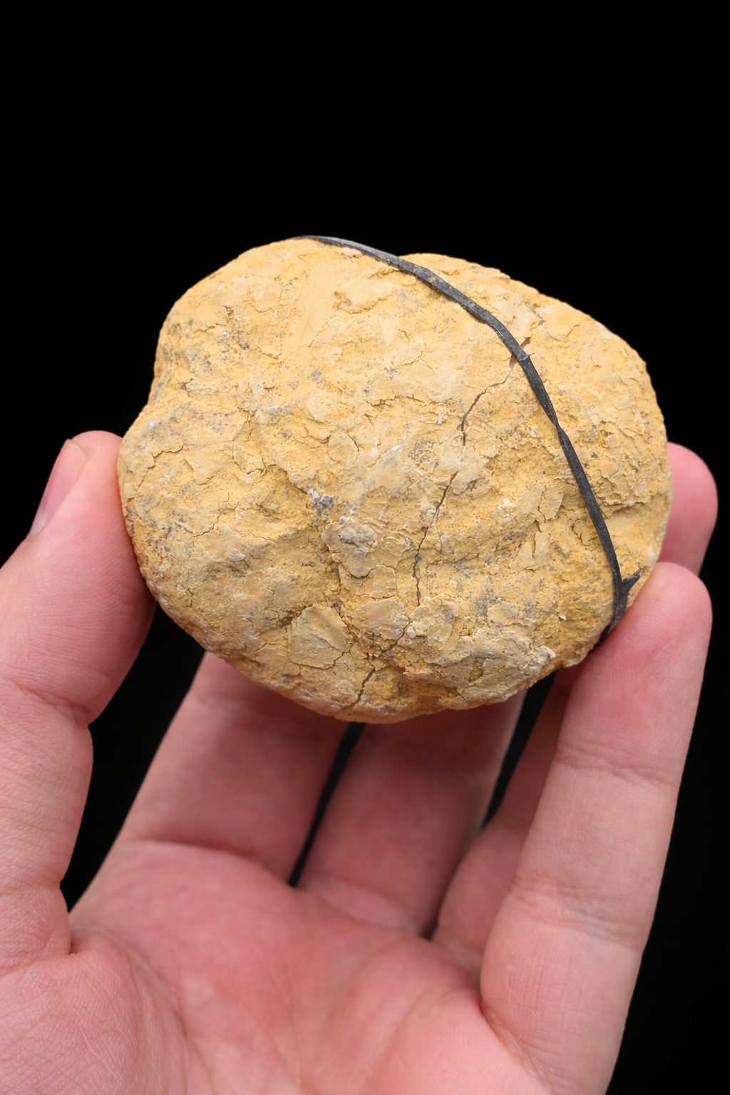 NATURAL QUARTZ GEODE (2 HALVES – COMPLETE PIECE)_image3
